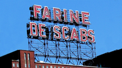 Farine de Scabs