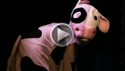 AH! LA VACHE!